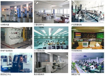 上海大華儀表廠